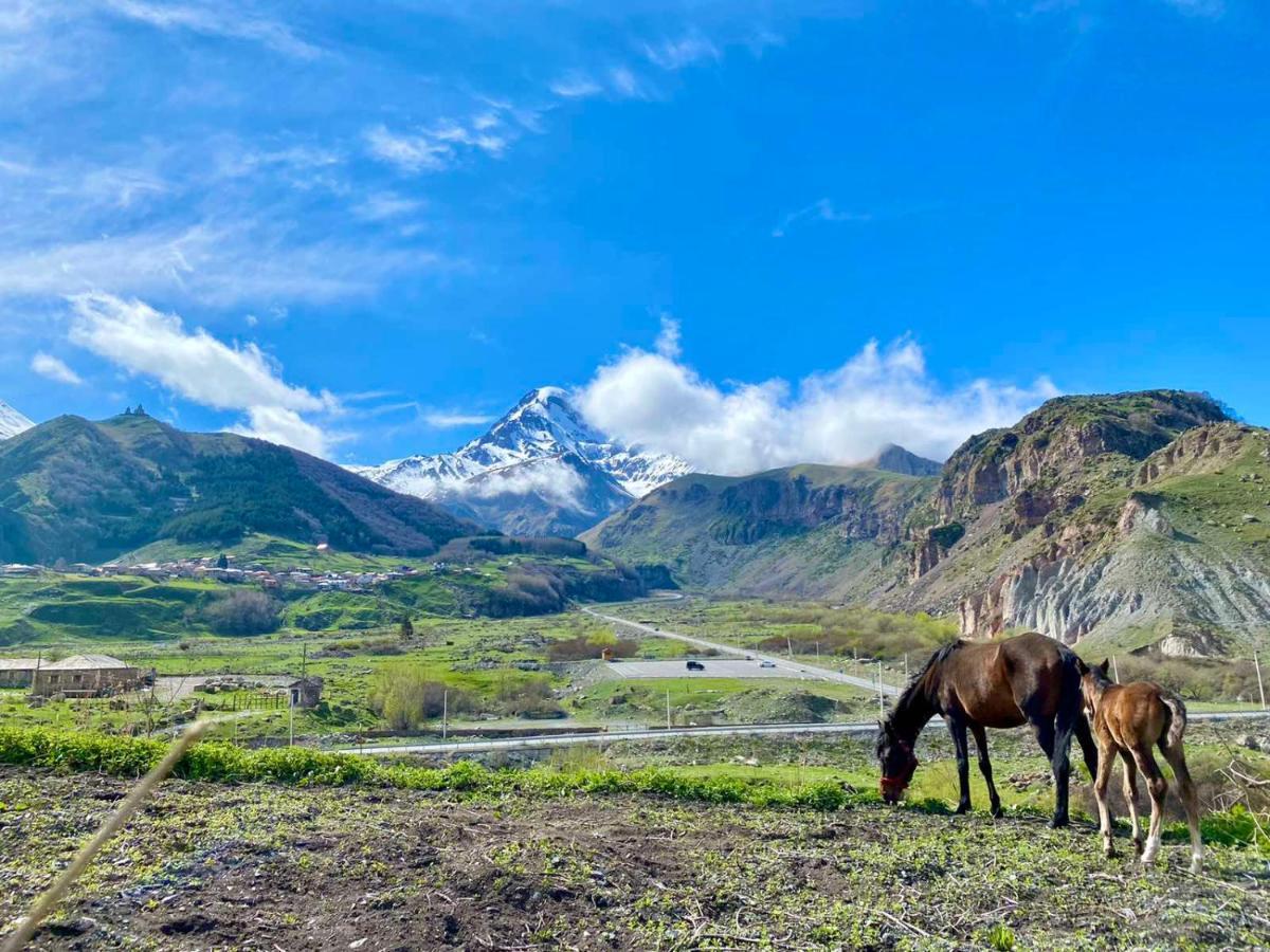 Kazbegi Inn Exterior photo